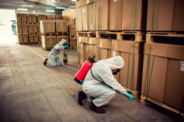 Best Wildlife Control Services  in , FL