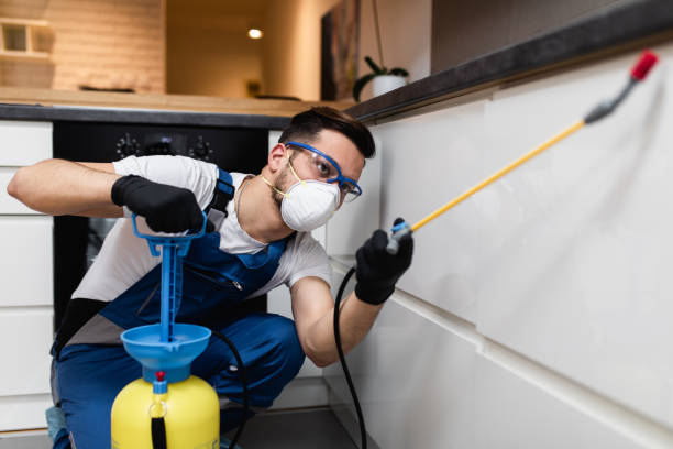 Best Wasp Removal Services  in , FL