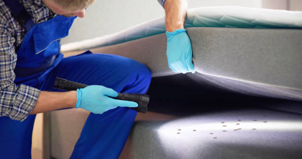 Best Pest Control Treatment  in , FL