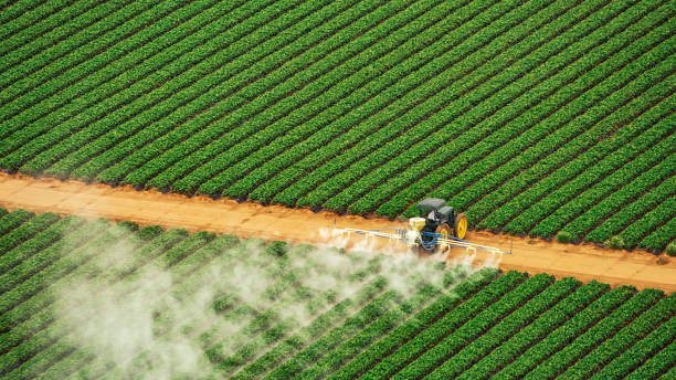 Best Mosquito Control Services  in , FL