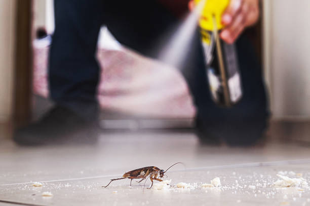 Best Pest Control for Restaurants  in , FL