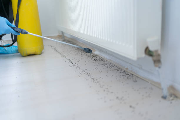 Best Bed Bug Extermination  in , FL